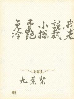 免费小说,我的冷艳总裁老婆
