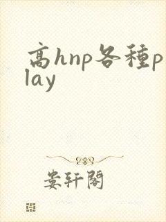 高hnp各种play