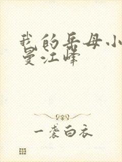 我的岳母小说沈曼江峰