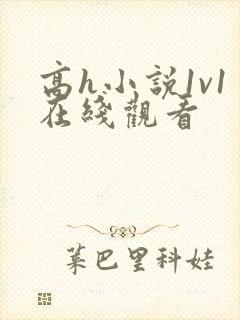 高h小说1v1在线观看