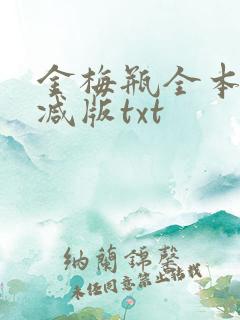 金梅瓶全本无删减版txt