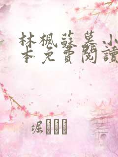 林枫苏慕小说全本免费阅读最新章节