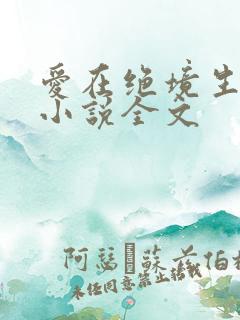 爱在绝境生出花小说全文