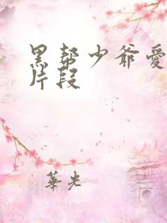 黑帮少爷爱上我片段