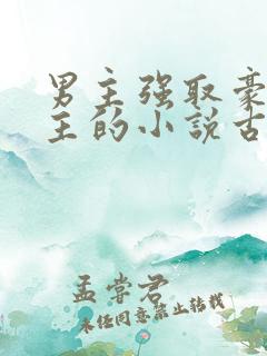 男主强取豪夺女主的小说古言