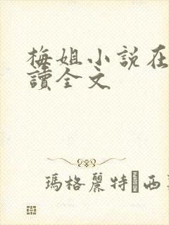 梅姐小说在线阅读全文