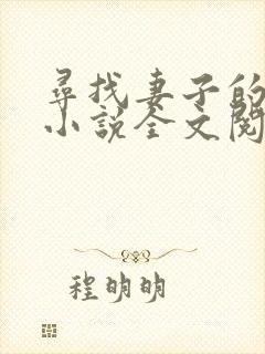 寻找妻子的秘密小说全文阅读