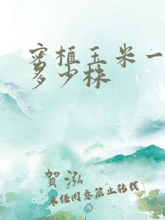 密植玉米一亩地多少株