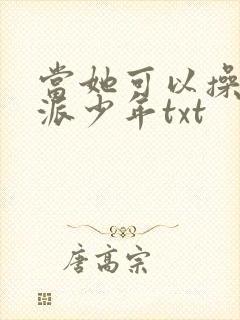 当她可以操纵反派少年txt