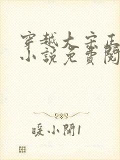 穿越大宋正朝纲小说免费阅读