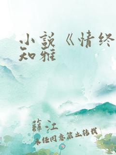 小说《情终》余知雅