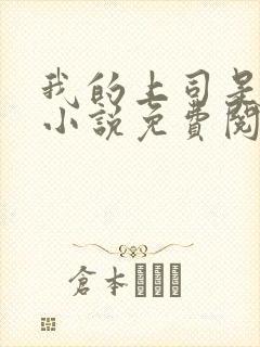 我的上司是女王小说免费阅读