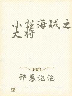 小说海贼之文虎大将