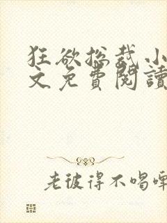 狂欲总裁小说全文免费阅读
