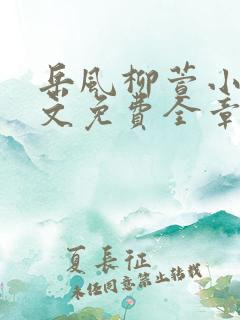 岳风柳萱小说全文免费全章节
