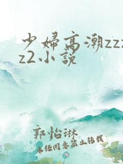 少妇高潮zzzz2小说