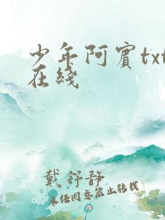 少年阿宾txt在线