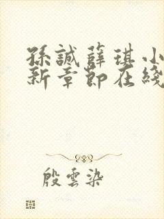 孙诚薛琪小说最新章节在线阅读