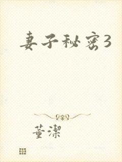 妻子秘密3