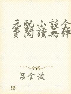 元配小说全文免费阅读无弹窗