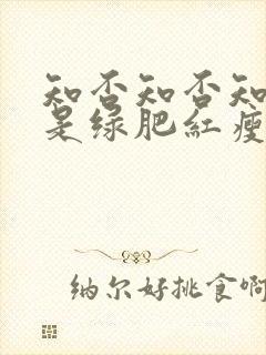 知否知否知否应是绿肥红瘦 原著