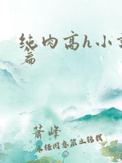 纯肉高h小说短篇