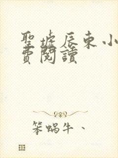 圣墟辰东小说免费阅读