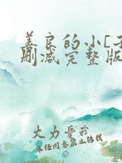 善良的小[子未删减完整版