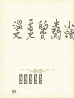 温柔的光小说全文免费阅读
