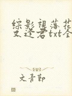 综影视落花时节又逢君txt全本