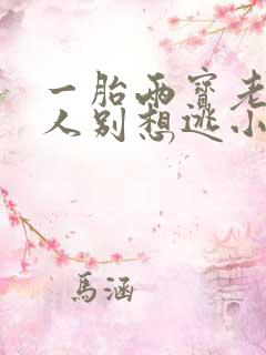 一胎两宝老婆大人别想逃小说