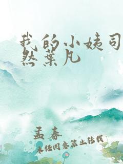 我的小姨司空嫣然叶凡