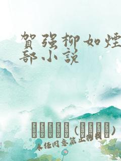 贺强柳如烟是哪部小说