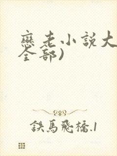 恋老小说大全(全部)