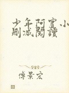 少年阿宾小说无删减阅读