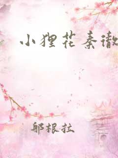 小狸花秦彻