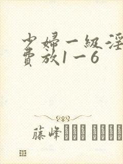 少妇一级淫片免费放1一6