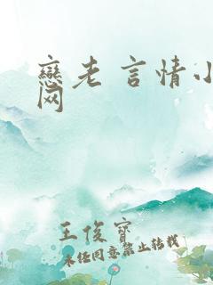 恋老 言情小说网