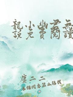 龙小幽君无邪小说免费阅读