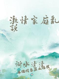 激情家庭乱论小说