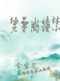 极品小姨林浩云免费阅读小说全文最新章节