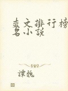 爽文排行榜前十名小说