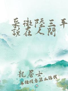 采微陆三平的小说在人间