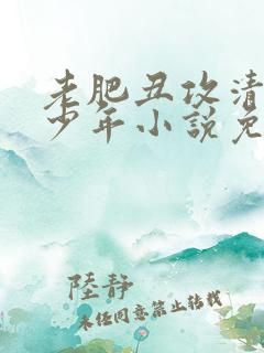 老肥丑攻清冷美少年小说免费阅读