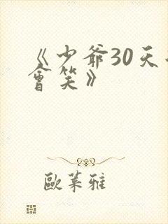 《少爷30天后会笑》