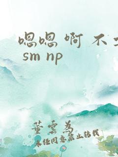 嗯嗯 啊 不要 sm np