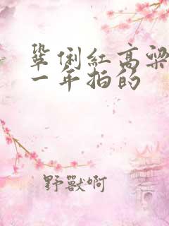 巩俐红高粱是哪一年拍的