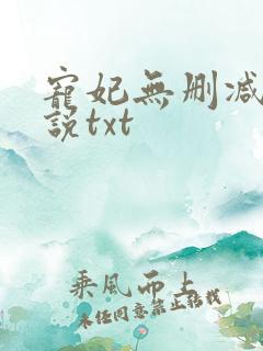 宠妃无删减版小说txt