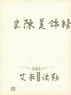 良陈美锦精校版