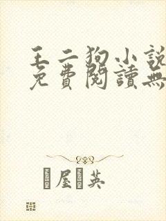 王二狗小说全文免费阅读无弹窗